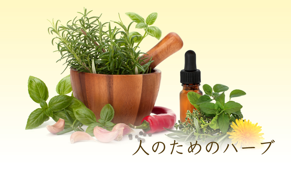 人のためのハーブ