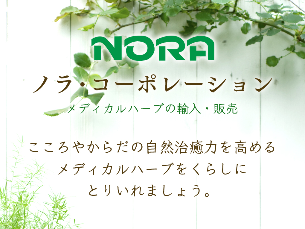 ノラ・コーポレーション　メディカルハーブの輸入・販売　こころやからだの自然治癒力を高めるメディカルハーブをくらしにとりいれましょう。
