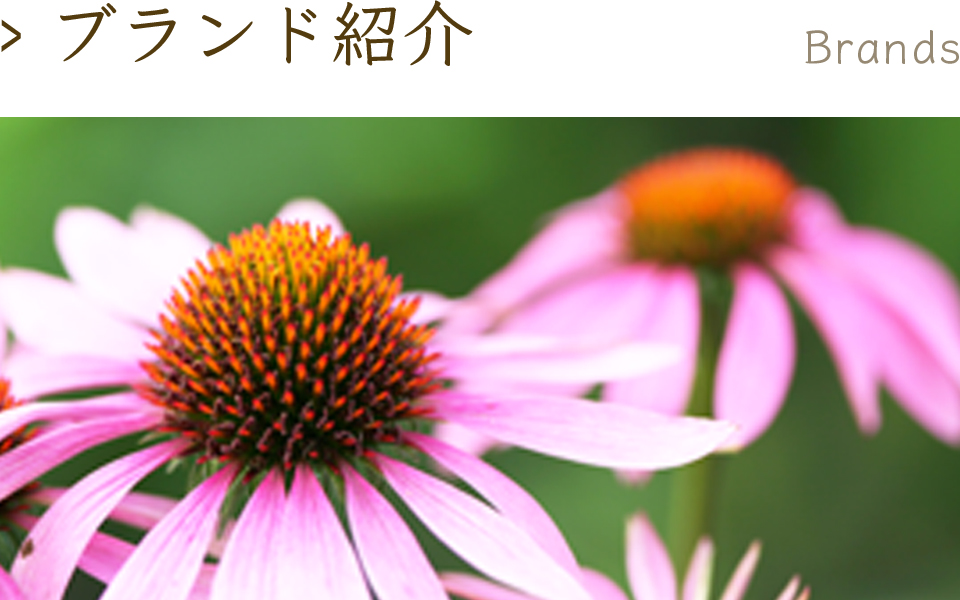 ブランド紹介