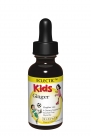 Ginger-Kids-Gly1