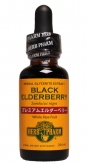 エルダーベリー