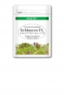 eco15_EchinaceaFL