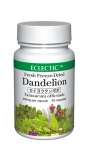 Dandelion-FFD45